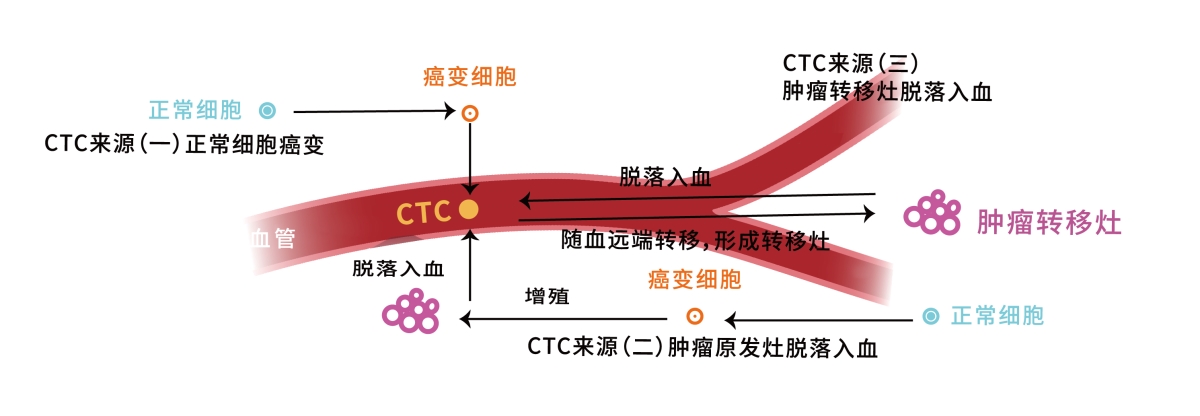 CTC流程图 CTC流程图.jpg