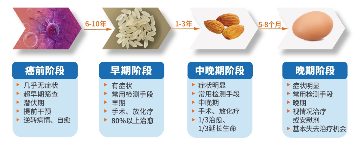 肿瘤发展 肿瘤发展.jpg