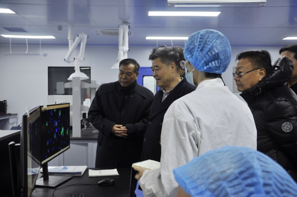 _DSC0027_副本 _DSC0027_副本.jpg