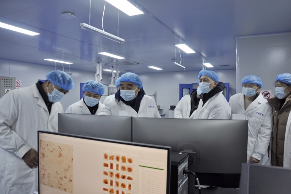 _DSC0051_副本 _DSC0051_副本.jpg