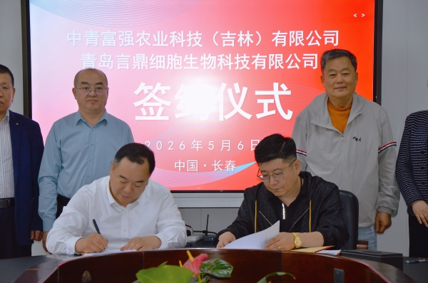 微信图片_20260507140750_23756_8.jpg
